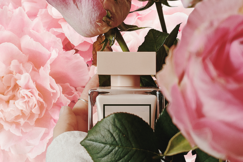Pale peach perfume bottle among pink roses || Flacon de parfum pêche pâle parmi les roses roses