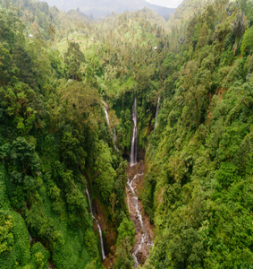 Clean terrain fragrance oil. Aerial view of a forest with a waterfall & river running through it. || Terrain Vierge Huile parfumée. Vue aérienne d'une forêt avec une cascade et une rivière qui la traverse.