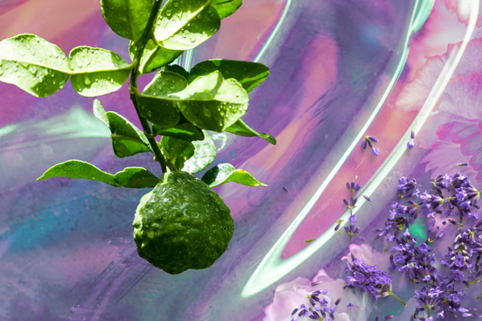 Surreal image of green fruit on a shimmering purple backdrop with lavender flowers as a visual representation of Dream Essential Oil Blend available at Village Craft and Candle 