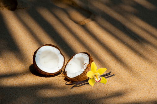 Coconut on a sandy beach with a vanilla blossom. Lemon Coconut Vanilla Fragrance Oil, find it at Village Craft & Candle. ||  Noix de coco sur une plage de sable avec une fleur de vanille. Huile de parfum au citron, à la noix de coco et à la vanille, retrouvez-la chez Village Craft & Candle.