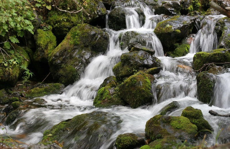 Waterfall flowing over mossy rocks as a visual representation of River Stone Fragrance Oil available at Village Craft and Candle || Cascade coulant sur des rochers moussus comme représentation visuelle de l'huile parfumée River Stone disponible chez Village Craft and Candle