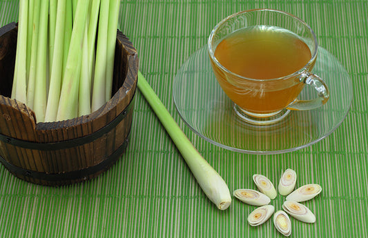  Thé à l'oignon vert et au citron sur un lit de bambou comme représentation visuelle de l'huile essentielle de citronnelle des Indes orientales disponible chez Village Craft and Candle
